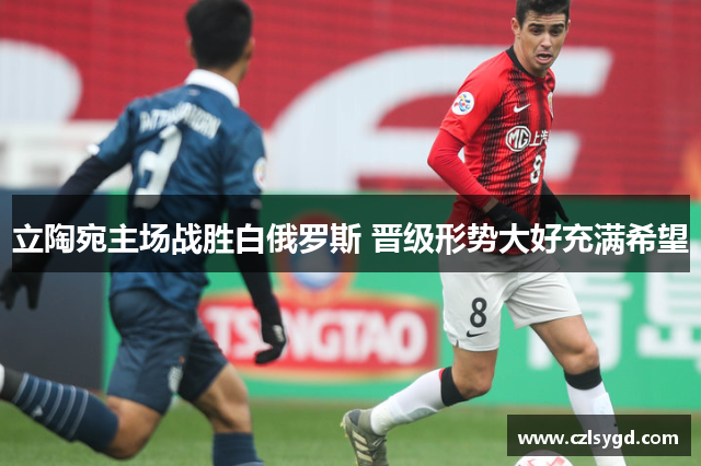 立陶宛主场战胜白俄罗斯 晋级形势大好充满希望