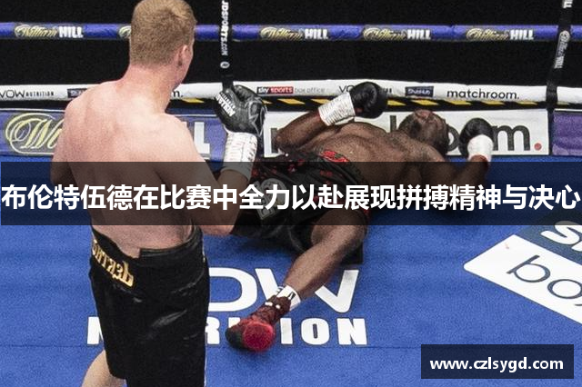 布伦特伍德在比赛中全力以赴展现拼搏精神与决心