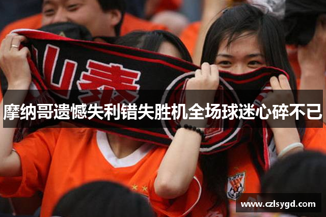 摩纳哥遗憾失利错失胜机全场球迷心碎不已