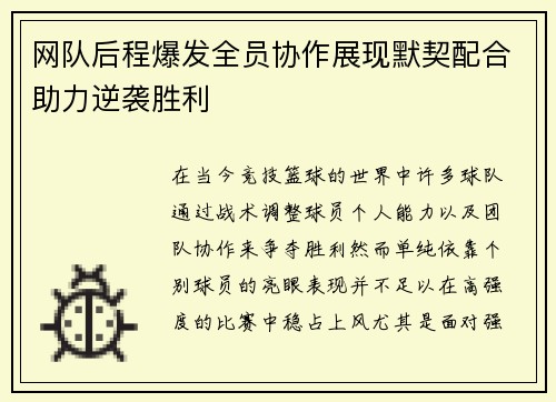 网队后程爆发全员协作展现默契配合助力逆袭胜利