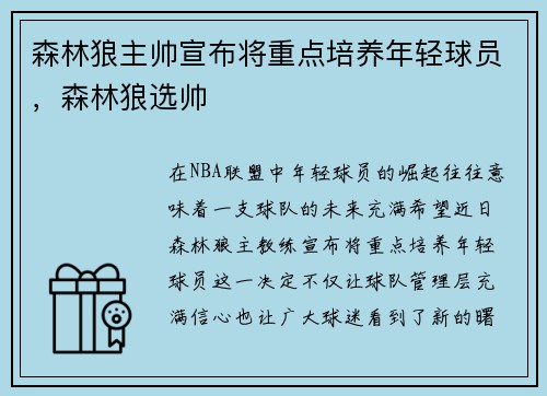 森林狼主帅宣布将重点培养年轻球员，森林狼选帅