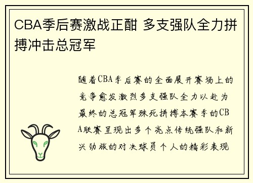 CBA季后赛激战正酣 多支强队全力拼搏冲击总冠军